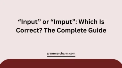 “Input” or “Imput”