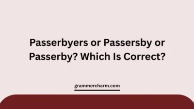 Passerbyers or Passersby or Passerby