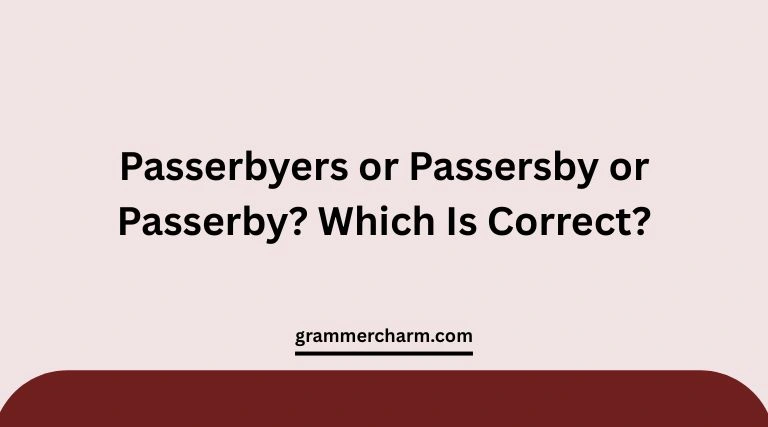 Passerbyers or Passersby or Passerby