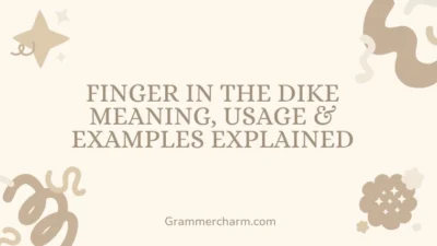Finger in the Dike Meaning