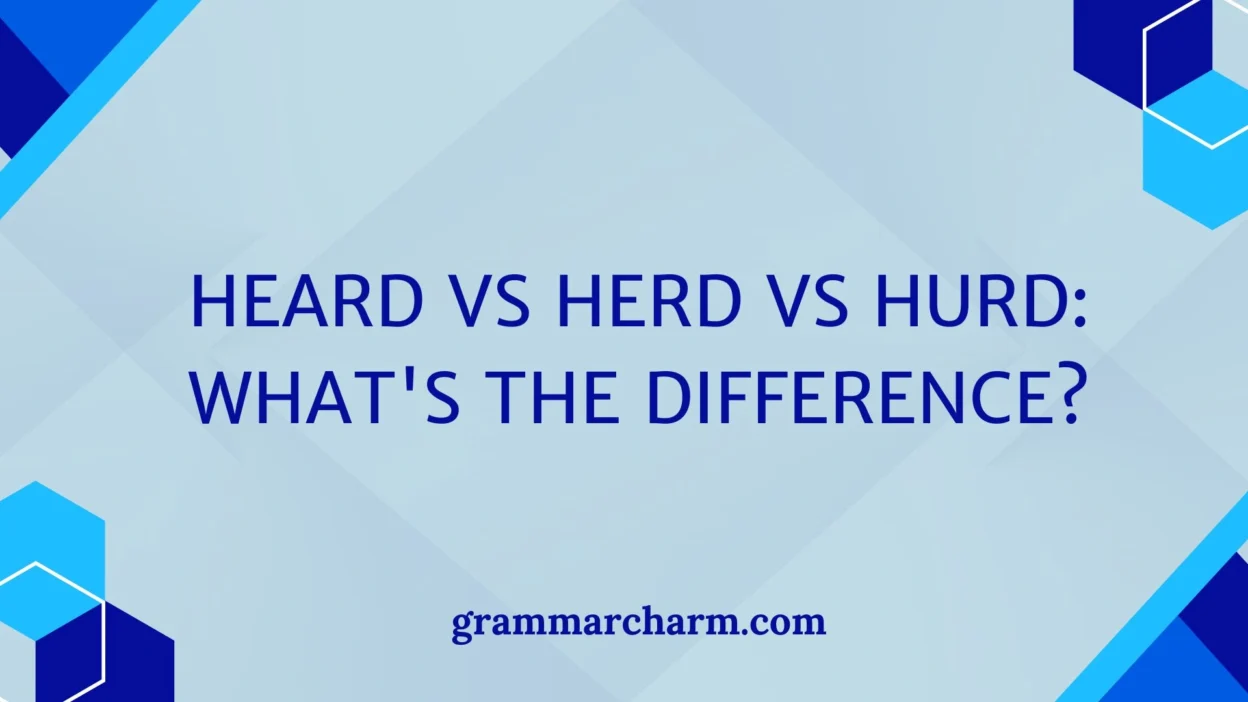 Heard vs Herd vs Hurd