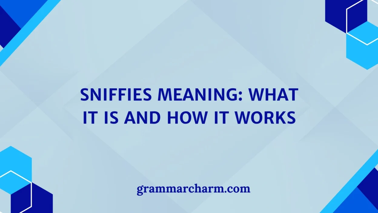 Sniffies Meaning