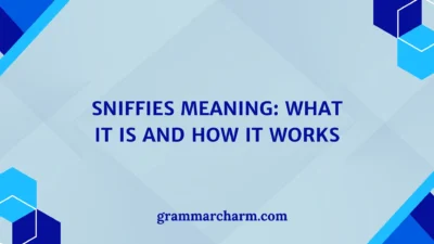 Sniffies Meaning