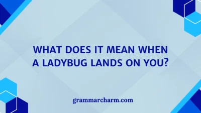 What Does It Mean When a Ladybug Lands on You