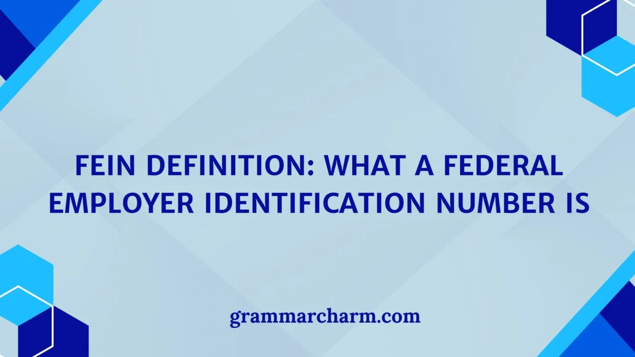 FEIN Definition