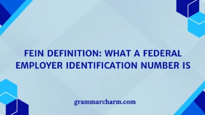 FEIN Definition