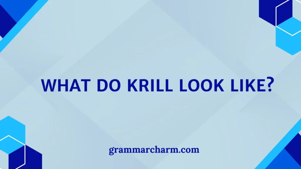 What Do Krill Look Like?