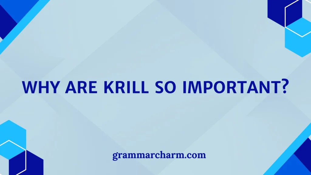 Why Are Krill So Important?