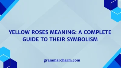 Yellow Roses Meaning