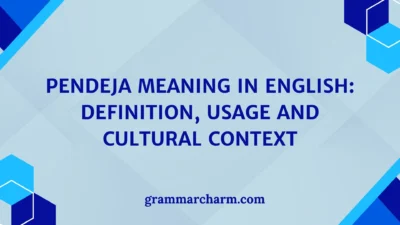 Pendeja Meaning