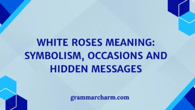 White Roses Meaning